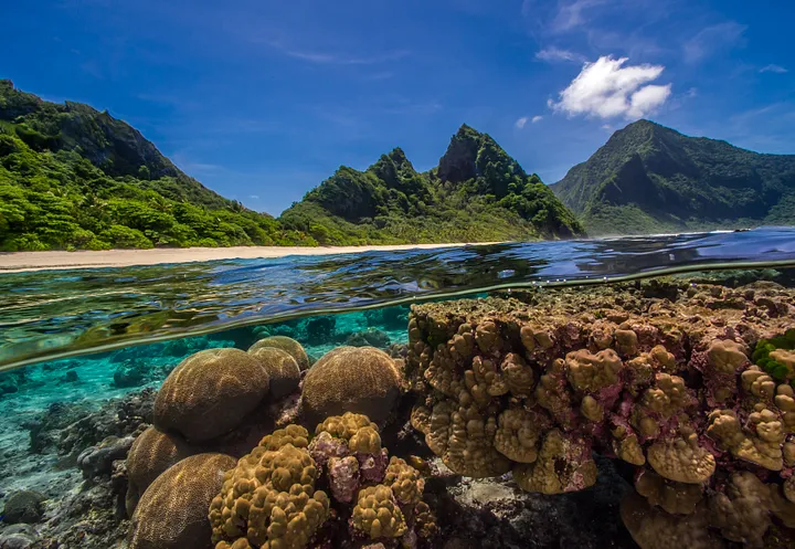 Planet Earth’s Natural Capital on full display. Credit: Renata Romeo / Ocean Image Bank
